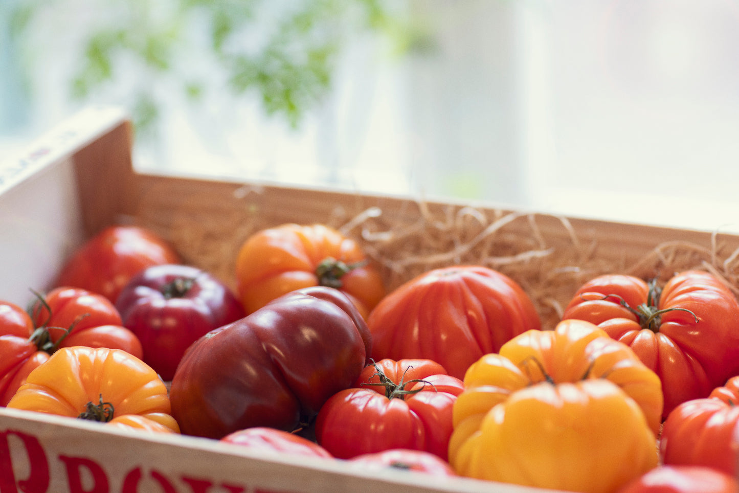 Famiglia Crispino Tomatsås Classica